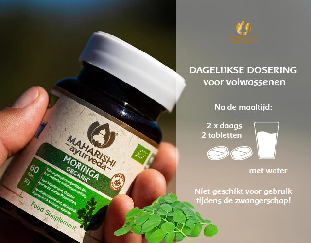Moringa Bio - Image 4